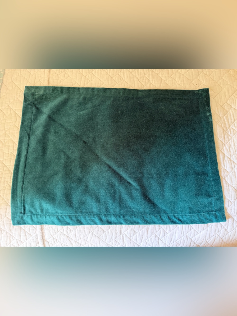 Dark Green Velvet Placemats